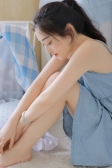 豺狼计划